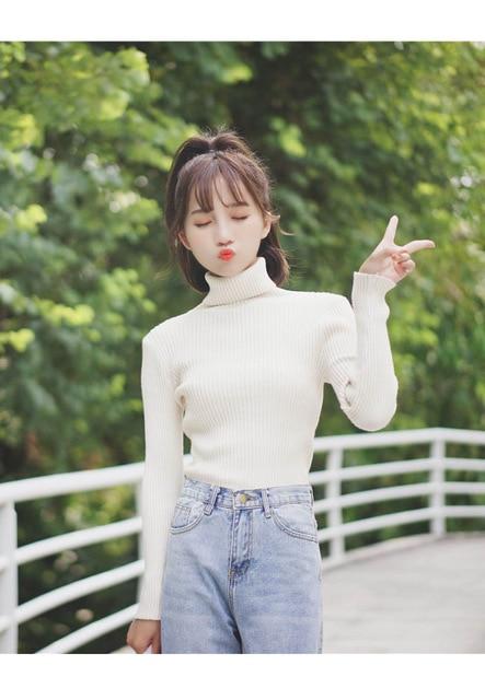 Casual Slim Pullover Knitted Long Sleeve Turtleneck Sweater