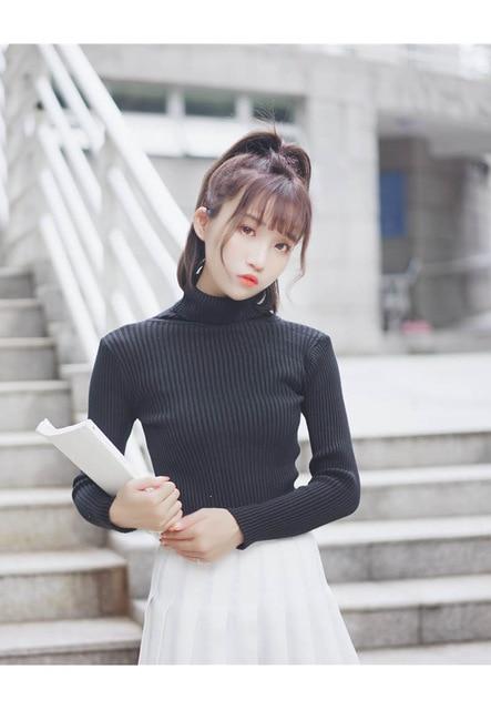 Casual Slim Pullover Knitted Long Sleeve Turtleneck Sweater