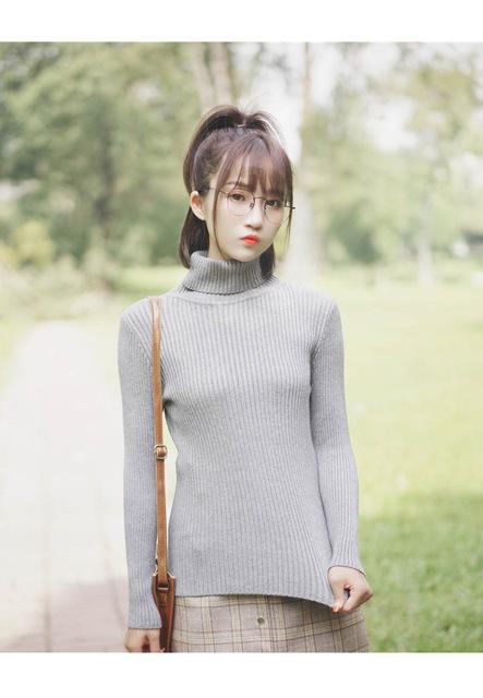 Casual Slim Pullover Knitted Long Sleeve Turtleneck Sweater