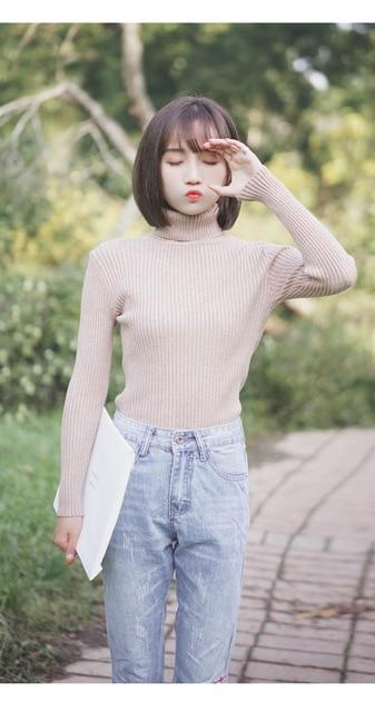 Casual Slim Pullover Knitted Long Sleeve Turtleneck Sweater