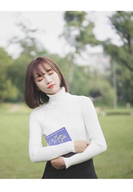 Casual Slim Pullover Knitted Long Sleeve Turtleneck Sweater