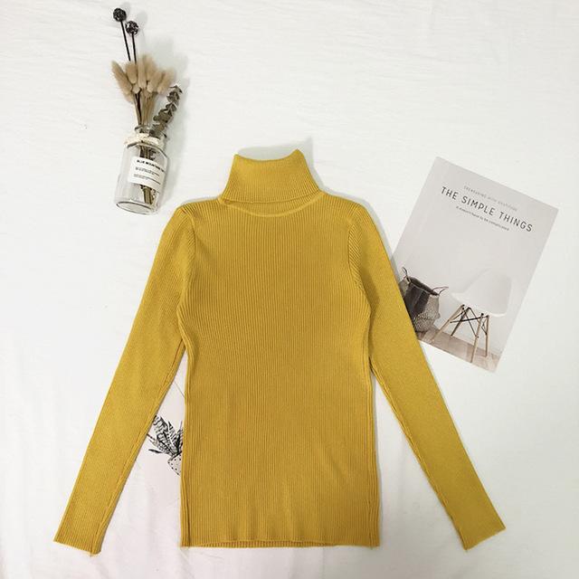 Thin Pullover Knitted Turtleneck Sweater